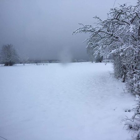 Le Diamanster Francorchamps Stavelot Exterior foto